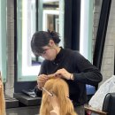 (주)디앤에이치컨설팅 충주지점 | [원주헤어학원] 업스타일 전문 교육 기관, 기술의 중요성이 대두되는 이유