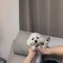 산수차와호프 | 놀고 쉬고 마셨던 11월 🩶