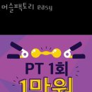 머슬팩토리 easy 이미지