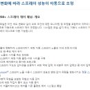 스프레이시스템코리아 유한회사