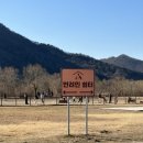 황산애견 이미지