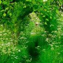 白居易백거이 詩시 모음(61~90) 이미지