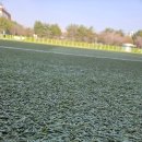 황송인조잔디구장 | 인천삼산체육관 인조잔디 축구장 구장 상태 후기(대관료)