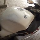 대전유아사 이미지