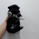 팔현길 이미지