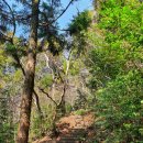 삼우농원 이미지