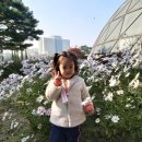 예은어린이집 이미지