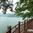 장성호 미락단지 이미지