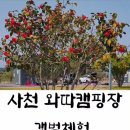 와따캠핑장 이미지