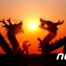 흑룡의원 이미지