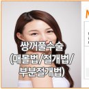 더미본 네이버블로그