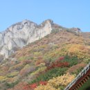 백양사 - 양천구 은행정로20길 5 | 백양사