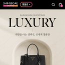 라이브