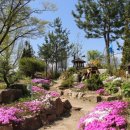 매류초등학교 이미지