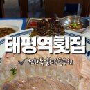 천하통일 회 수중공원 네이버블로그