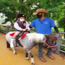 자연동산어린이집 이미지