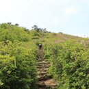 남해-307 이미지