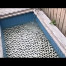 ROSA펜션 이미지