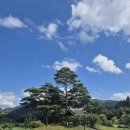 알펜시아 700 골프클럽 | 알펜시아700 cc 라운드 후기