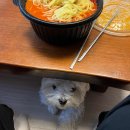 주정차단속-55 이미지