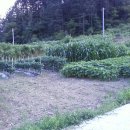 지혜농장 이미지