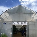 웃양지기농장 | 파주 나눔농장 3살6살 아이랑 언제가도 좋은 주말나들이