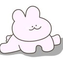 밤비뷰티 이미지