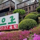 정선 자연속으로 펜션 이미지