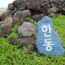 촌놈의 짬뽕 이미지