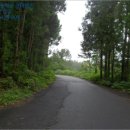 색달동-8 이미지