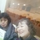 더셀주 이미지