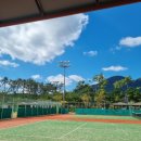 월드컵빌리지 풋살장 이미지