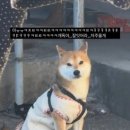 대송광고