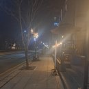 [양재천카페거리] 브런치 카페에서 크리스마스 저녁식사, &#39;캐틀앤비 양재점&#39;