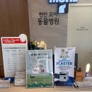천안모아동물병원 이미지