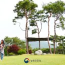 숲속의 농장 이미지