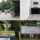 돌고래시장 이미지