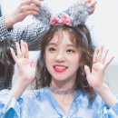 우기차니 이미지