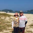 양지안마시술소 | ※호남여행정보 보길도 예송리 자갈밭 해수욕장 여행후기