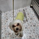 수성119안전센터 이미지