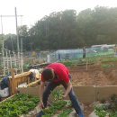 순규농장 이미지