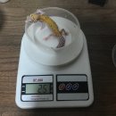 해니옐로우
