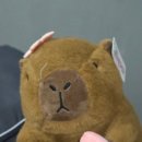 광명사거리 6번 출구 앞 | 광명왁싱 코지왁싱 광명점 브라질리언왁싱 후기