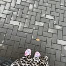 [여행] 목포에서의 하루(｡◝ ㅁ ◜ ｡)♪♬