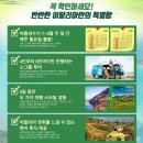 여행 어때요?(이탈리아) 이미지