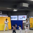 캥거루태권도 이미지