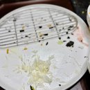 (주)핑크소울 | 판교역 밥집 :: 흥도식당 돈까스 매니아가 두 번째 가봄!