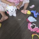 1129 | +1129 왜?
