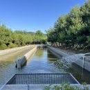 인삼송어장 이미지