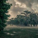 서울여성한의원 이미지